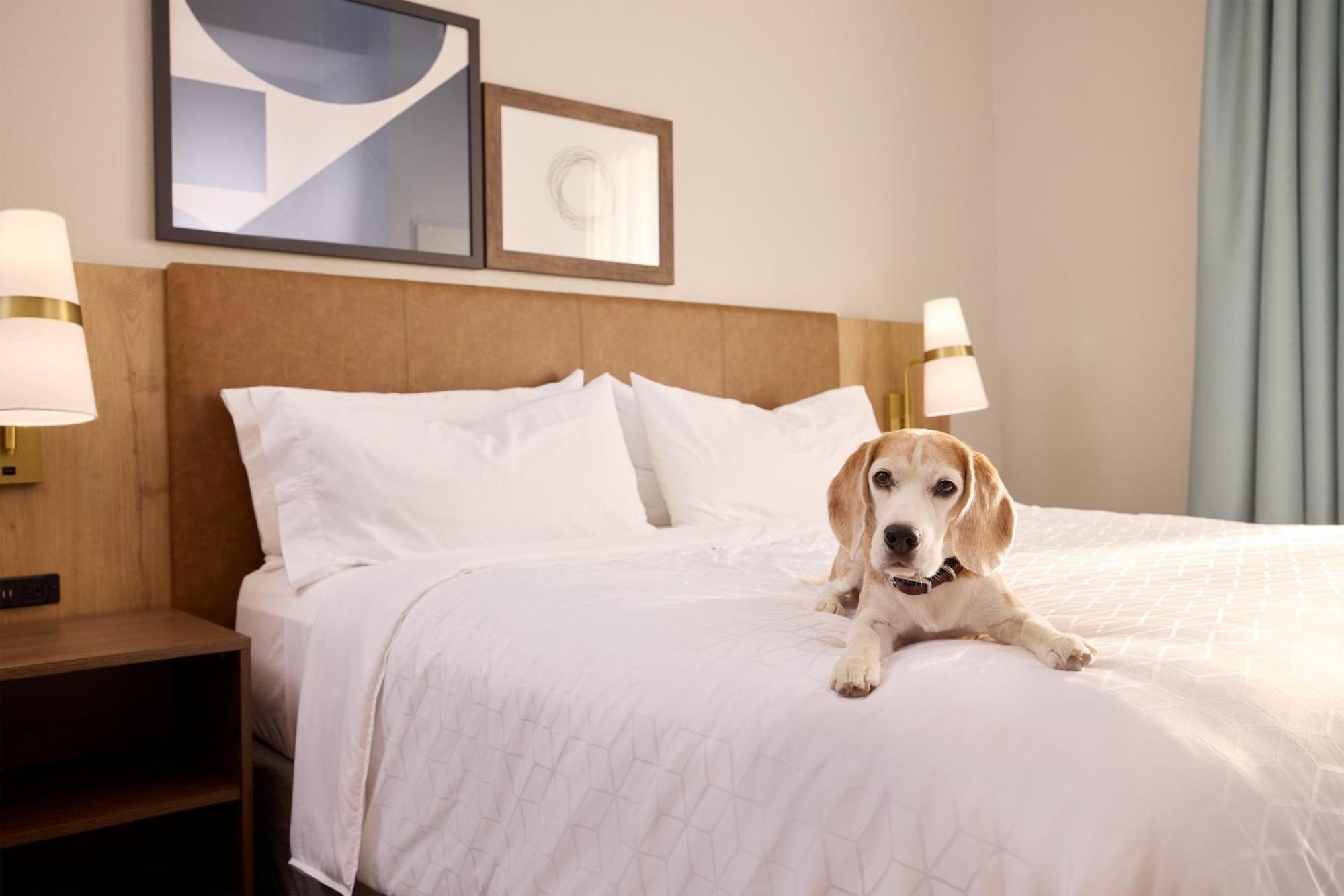 Staybridge Suites Tucson Airport By Ihg Exterior foto